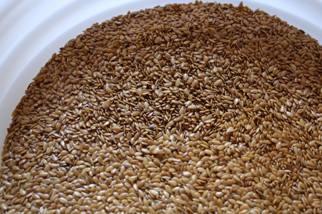 IMG 4205 1024x682 Tricias Recipes for Egg Substitutes