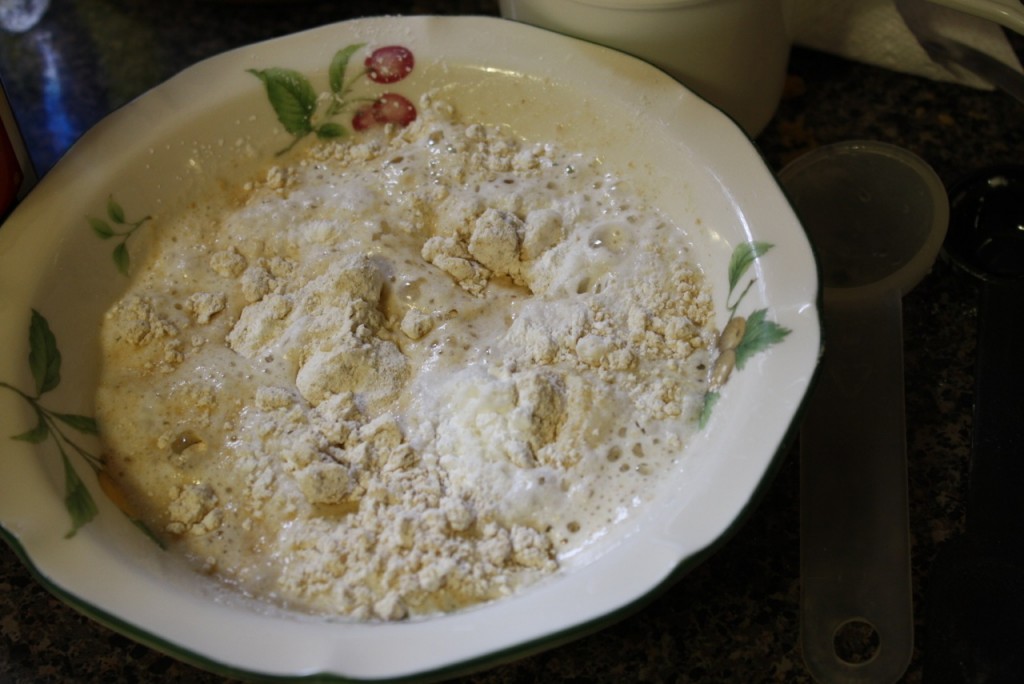 IMG 4644 1024x684 Tricias Recipes for Egg Substitutes
